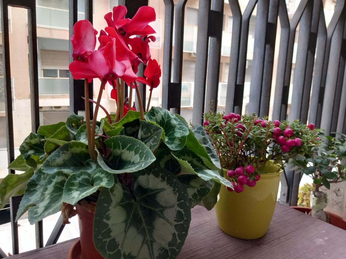 La Valigia Sul Letto Bed & Breakfast Catania Bagian luar foto